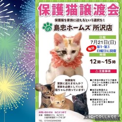7月21日（日）島忠ホームズ所沢店譲渡会！