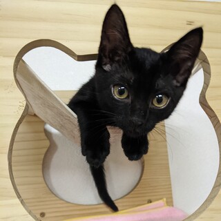 激甘キュートなマハロぼうや♡