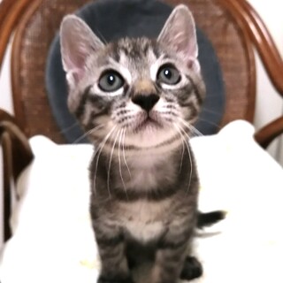 美形の男子❤もうすぐ2ヶ月