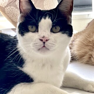 【9/15 東日本橋】とっても優しい女の子♡あくび