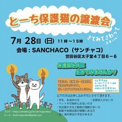 とーち保護猫の譲渡会@三軒茶屋