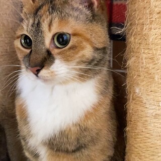 すりすりキュートな・なろちゃん