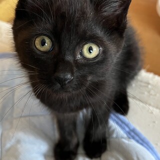 ストーカーしちゃうほど人が大好き❤️