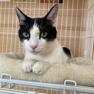 人が大好き！チロタくん