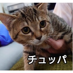 「2024.07.15-01」サムネイル1