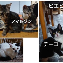 「2024.07.15-02」サムネイル1