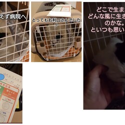 「2024.07.17」サムネイル1