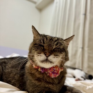 要介護☆なみえちゃん☆穏やかなおばあちゃん☆