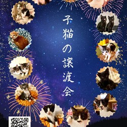 子猫の譲渡会in多摩センター