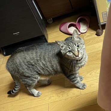 みんな暑いって言ってるけどボクは元気ヽ(´▽｀)/