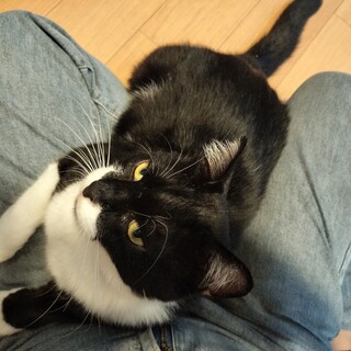 人懐こいマスター