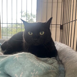 ෆ⃛大人しい女の子ෆ⃛はなちゃん