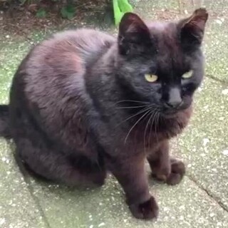 誰にでもフレンドリーなモトクロくん