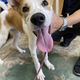 若くて元気でかわいいゆきお