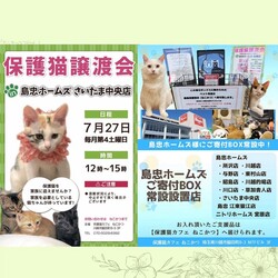 7/27（土）島忠ホームズさいたま中央店保護猫譲渡会