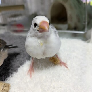 一旦募停止とさせていただきます。