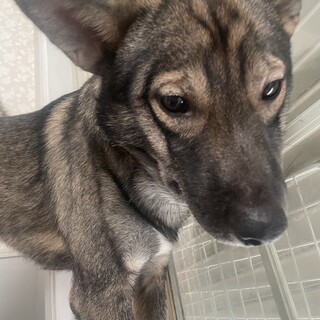 素敵なご縁がありましたみんなと仲良くできる男の子