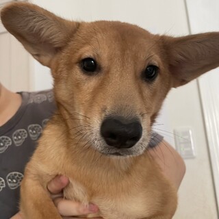 お顔からわかる優しい男の子