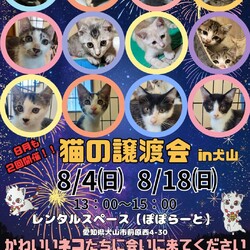 猫の譲渡会 @レンタルスペースぽぽらーと