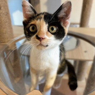 キュートなパンナ♡（パンダ？）