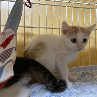 仲良し4兄妹❤️