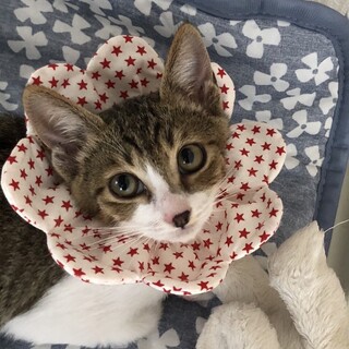 甘えん坊だけどちょっぴり怖がり凪ちゃん