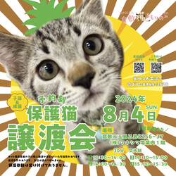 保護猫譲渡会（予約制）