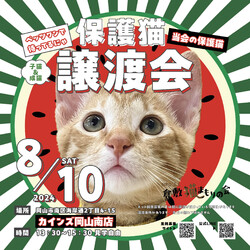 倉敷猫まも保護猫譲渡会（見学自由）