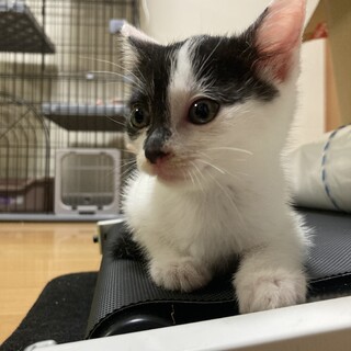 天真爛漫で物おじしない愛嬌抜群の女の子