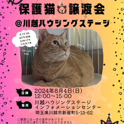 8/4(日)川越ハウジングステージ保護猫譲渡会