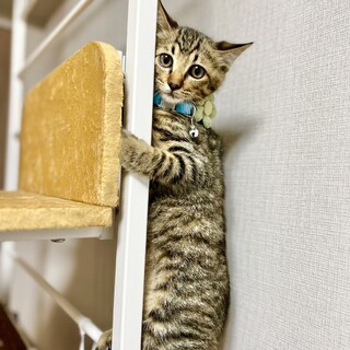 たいきくん、5ヶ月！
