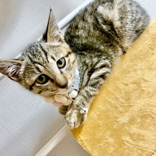 ひまりちゃん、5ヶ月！