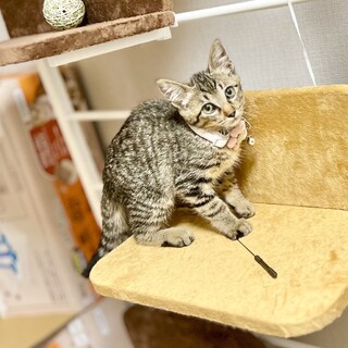 さくらちゃん、5ヶ月！