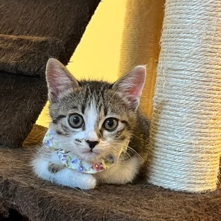 9/1西千葉ෆ⃛元気いっぱいෆ⃛トッポくん