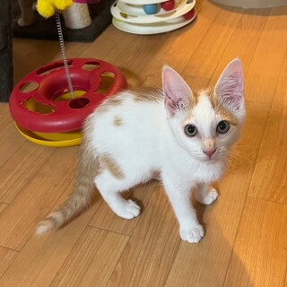 9/1西千葉ෆ⃛シャイボーイෆ⃛マーブルくん