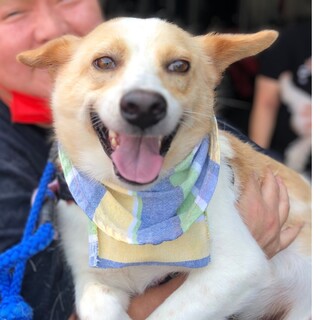 ハイタッチで甘える可愛いジュント