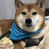 青も似合うでしょ？
