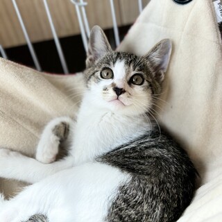 まんまるお目々のエクボ男子♥