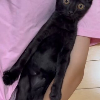 新しい世界を見るのに一生懸命な『あんどん』