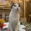 元気いっぱい心優しい！キャスバルくん
