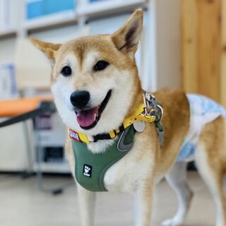 協力ボランティアさまに団体間移動しました