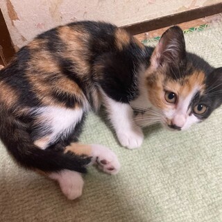 ひなちゃんを暖かい目で見て優しくして！