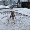 幸せ掴みました！ありがとうございました。 サムネイル3