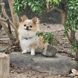 「定位置」サムネイル3