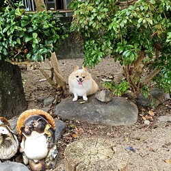 「定位置」サムネイル1