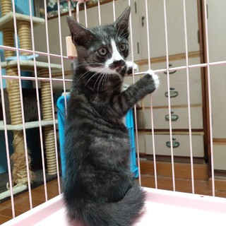 元気いっぱいの仲良し兄妹