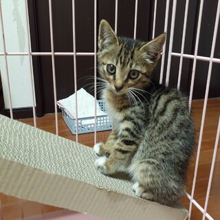 元気いっぱいの仲良し兄妹