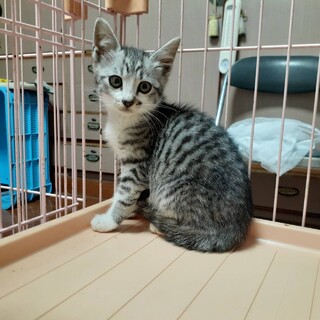 元気いっぱいの仲良し兄妹