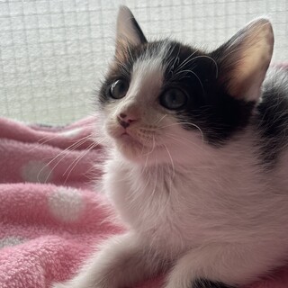 おっとりやさしい♡るなくん