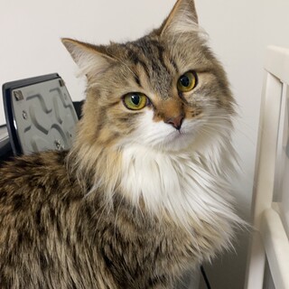 甘え上手なかわいい女の子！